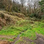 El Bosque
