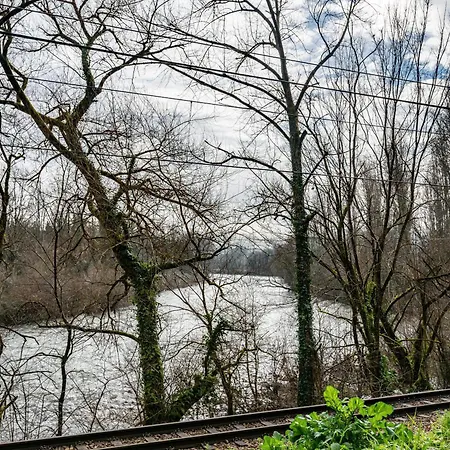 아파트 El Bosque *